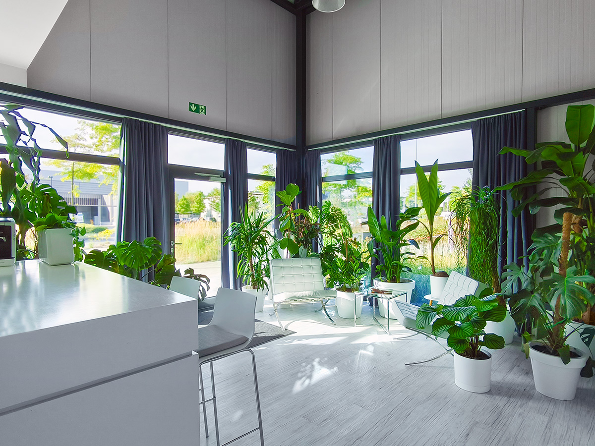 Fotostudio für Aktfotografie und Boudoirfotos   Zürich, Basel, Genf, Lausanne, Luzern, St.Gallen, Bern