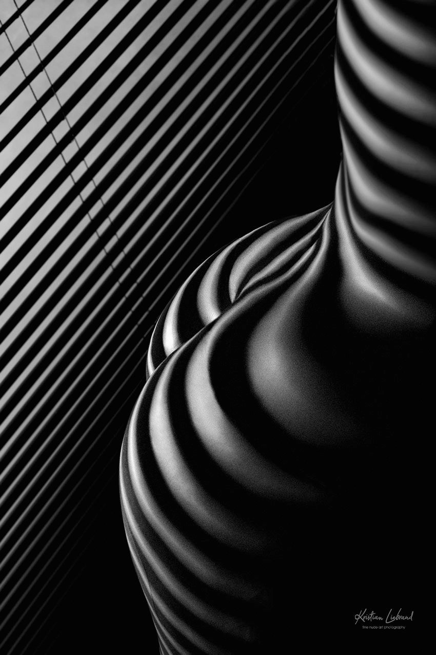 Aktfotografie Aktfotos schwarzweiss Fotoshooting Bern - Zürich - Basel - Genf